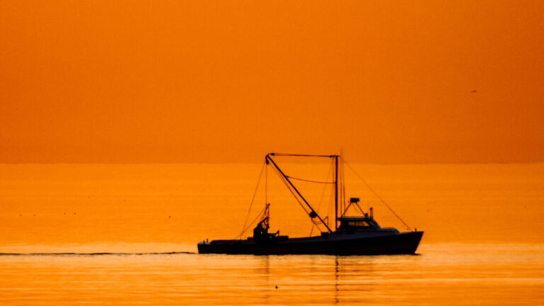 Fishing Crews Accidentally Uncover Chemical Contamination